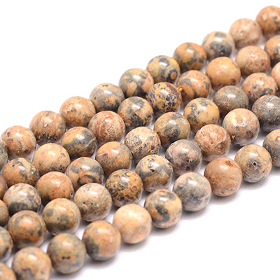 Леопард Джаспер