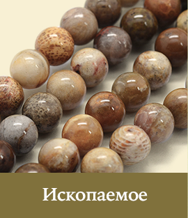 Ископаемое